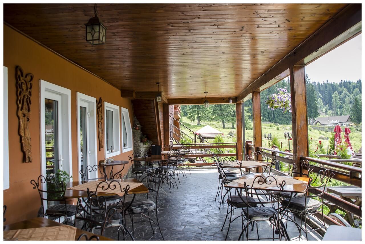 Гостевой дом Pensiunea LIN COTA 1000 Синая-17