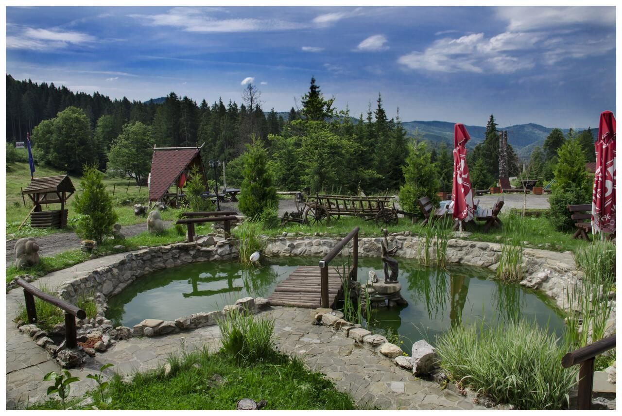 Гостевой дом Pensiunea LIN COTA 1000 Синая-22