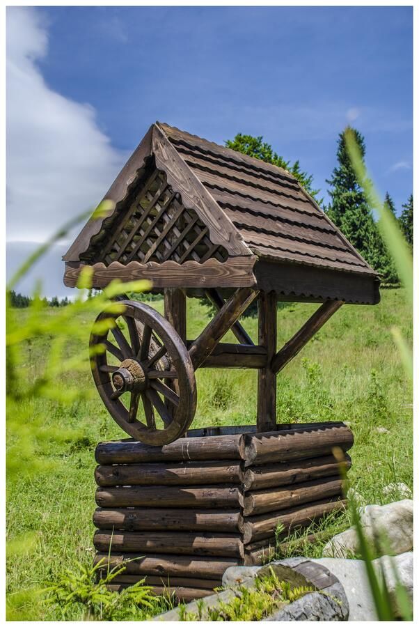 Гостевой дом Pensiunea LIN COTA 1000 Синая-27