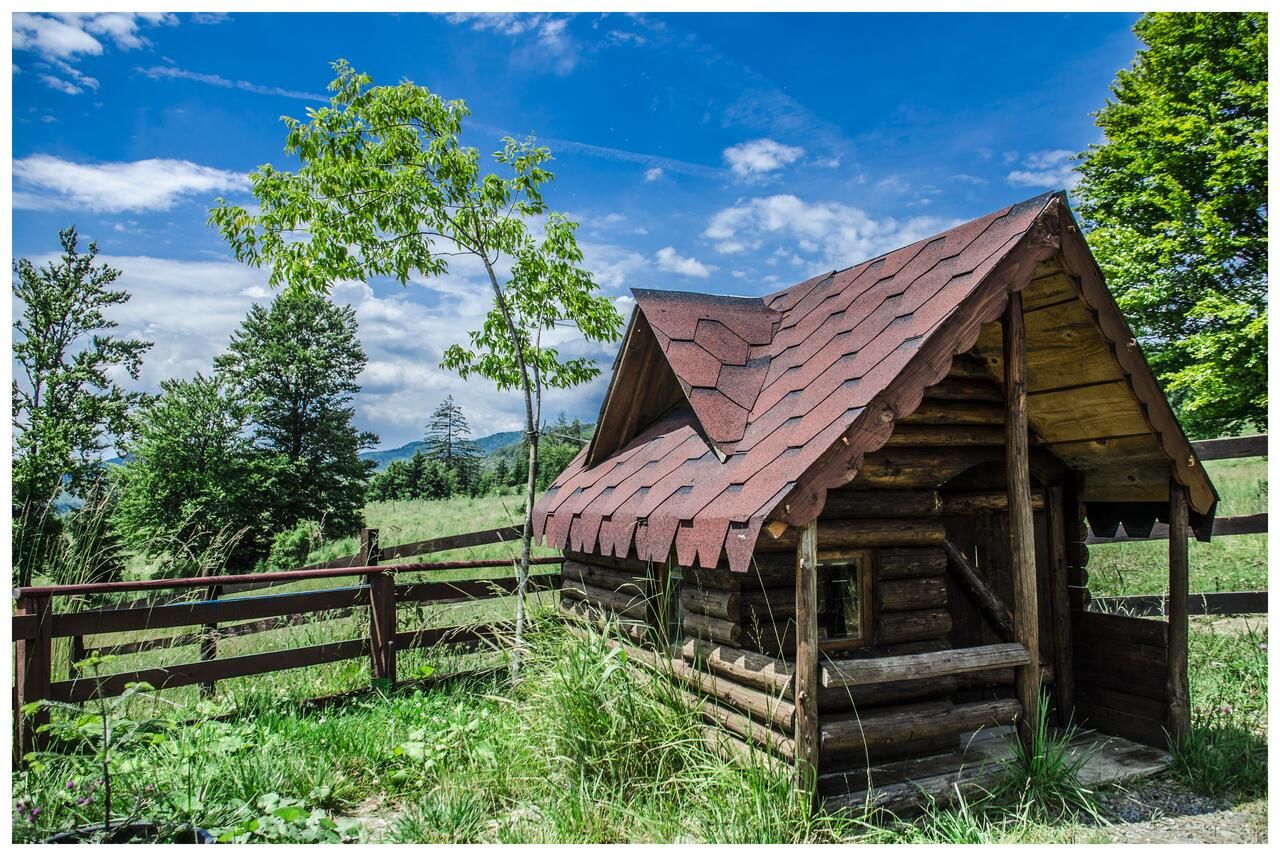 Гостевой дом Pensiunea LIN COTA 1000 Синая-28