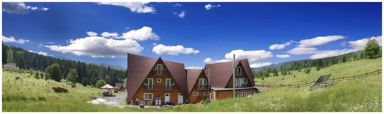 Гостевой дом Pensiunea LIN COTA 1000 Синая-8