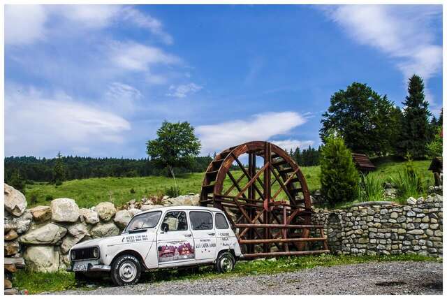 Гостевой дом Pensiunea LIN COTA 1000 Синая-24